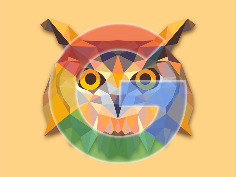 Project Owl